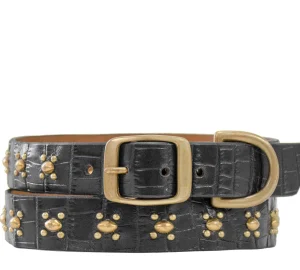 Calleen Cordero Abeja 17" Dog Collars | 17” Dog Collar
