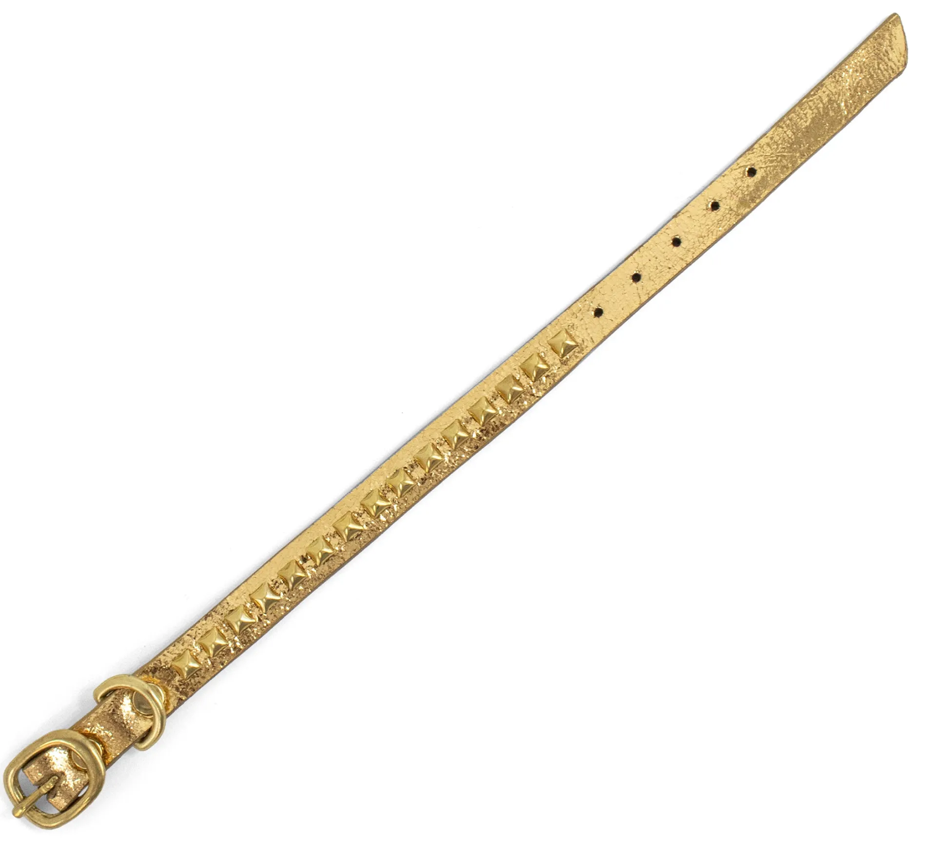 baby_pyramid__dog_collars_3.webp Calleen Cordero Baby Pyramid 8" Dog Collars | 8” Dog Collar