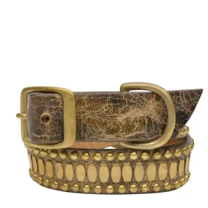 Calleen Cordero Concha 22" Dog Collars | 22” Dog Collar