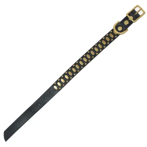 Calleen Cordero Concha S 11" Dog Collars | 10” Dog Collar