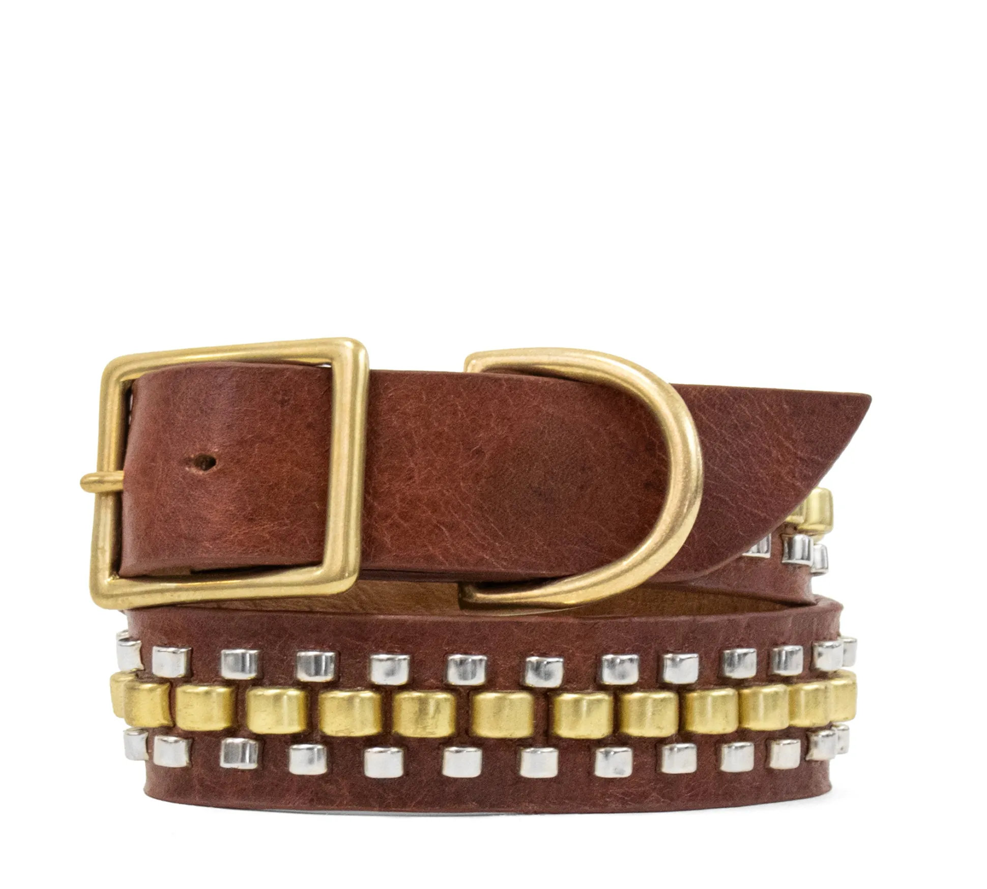 rolex__dog_collars_1-1.webp Calleen Cordero Rolex 19" Dog Collars | 19” Dog Collar
