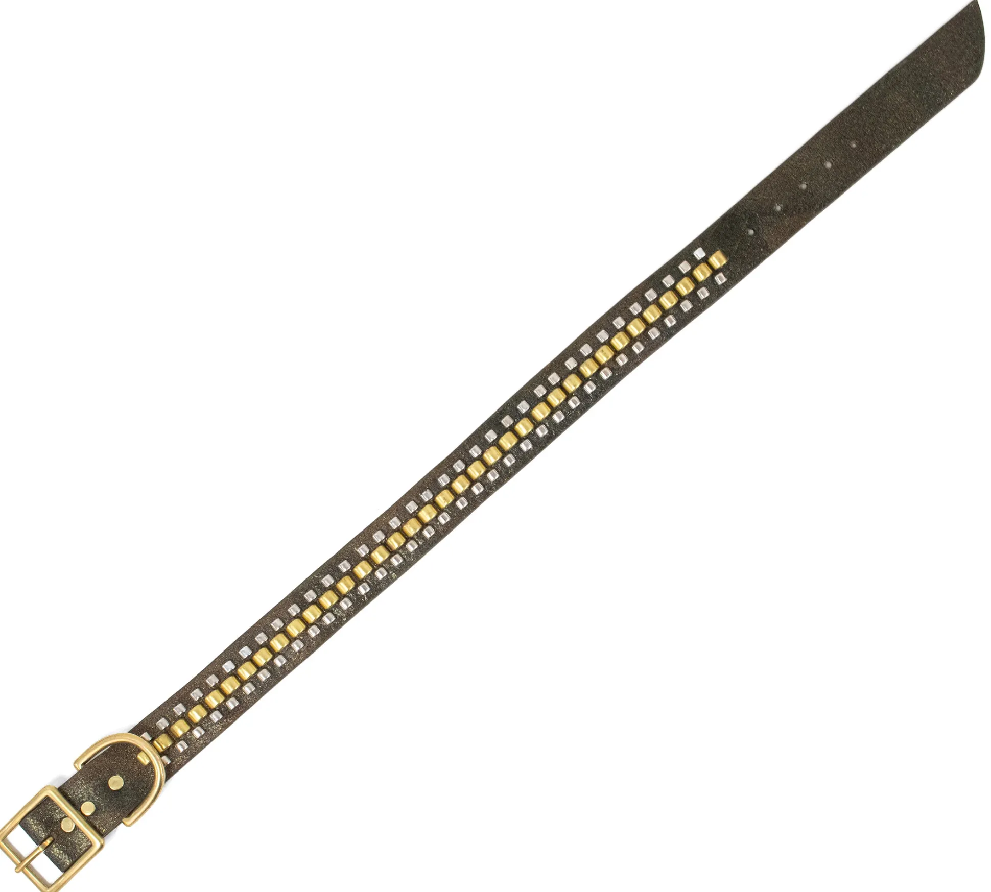rolex__dog_collars_5-1.webp Calleen Cordero Rolex 19" Dog Collars | 19” Dog Collar