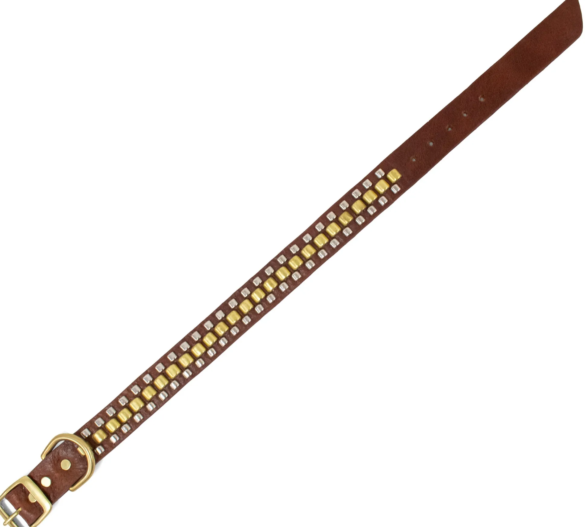 rolex__dog_collars_5.webp Calleen Cordero Rolex 15" Dog Collars | 15” Dog Collar