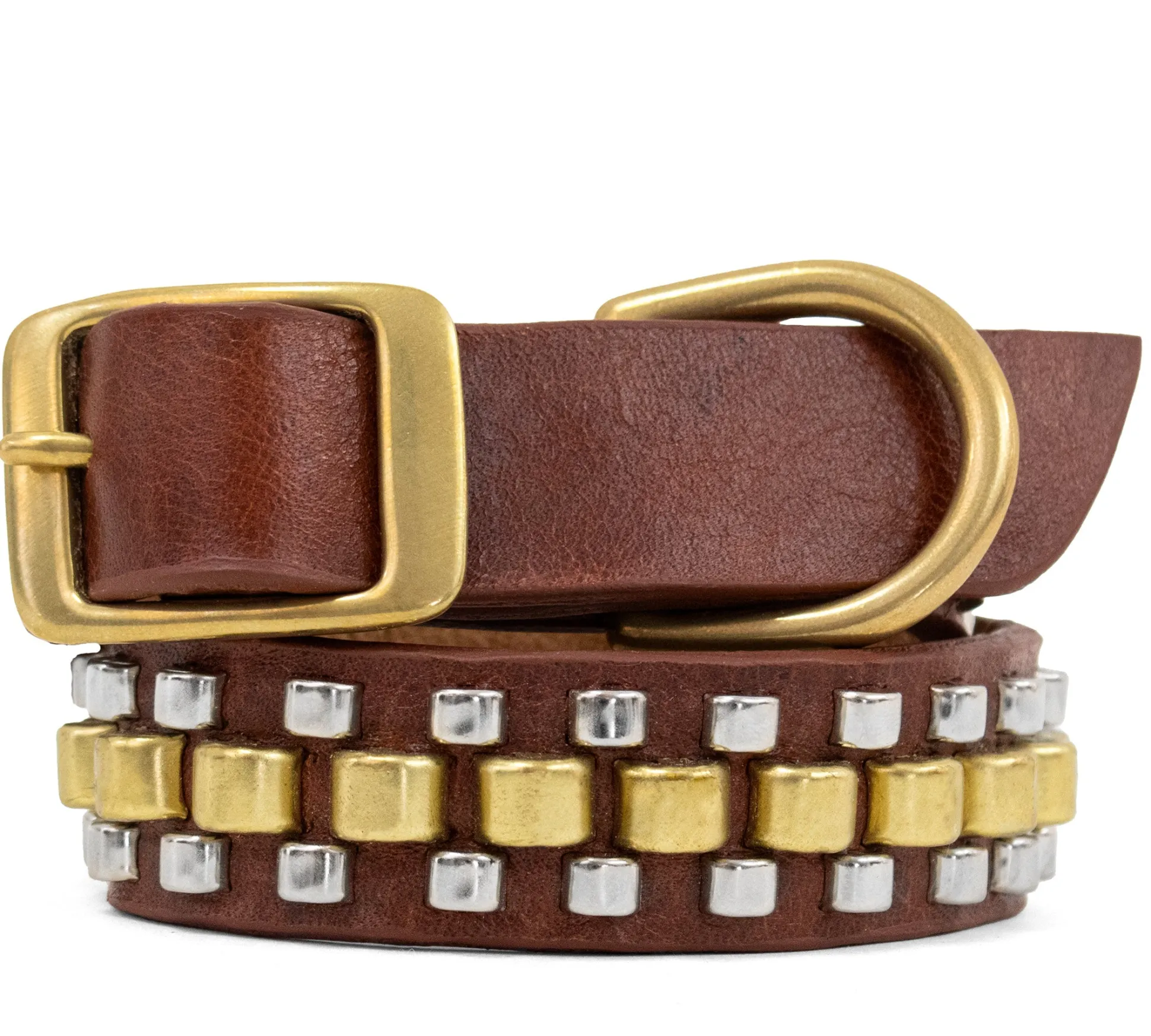 rolex__dog_collars_6.webp Calleen Cordero Rolex 15" Dog Collars | 15” Dog Collar