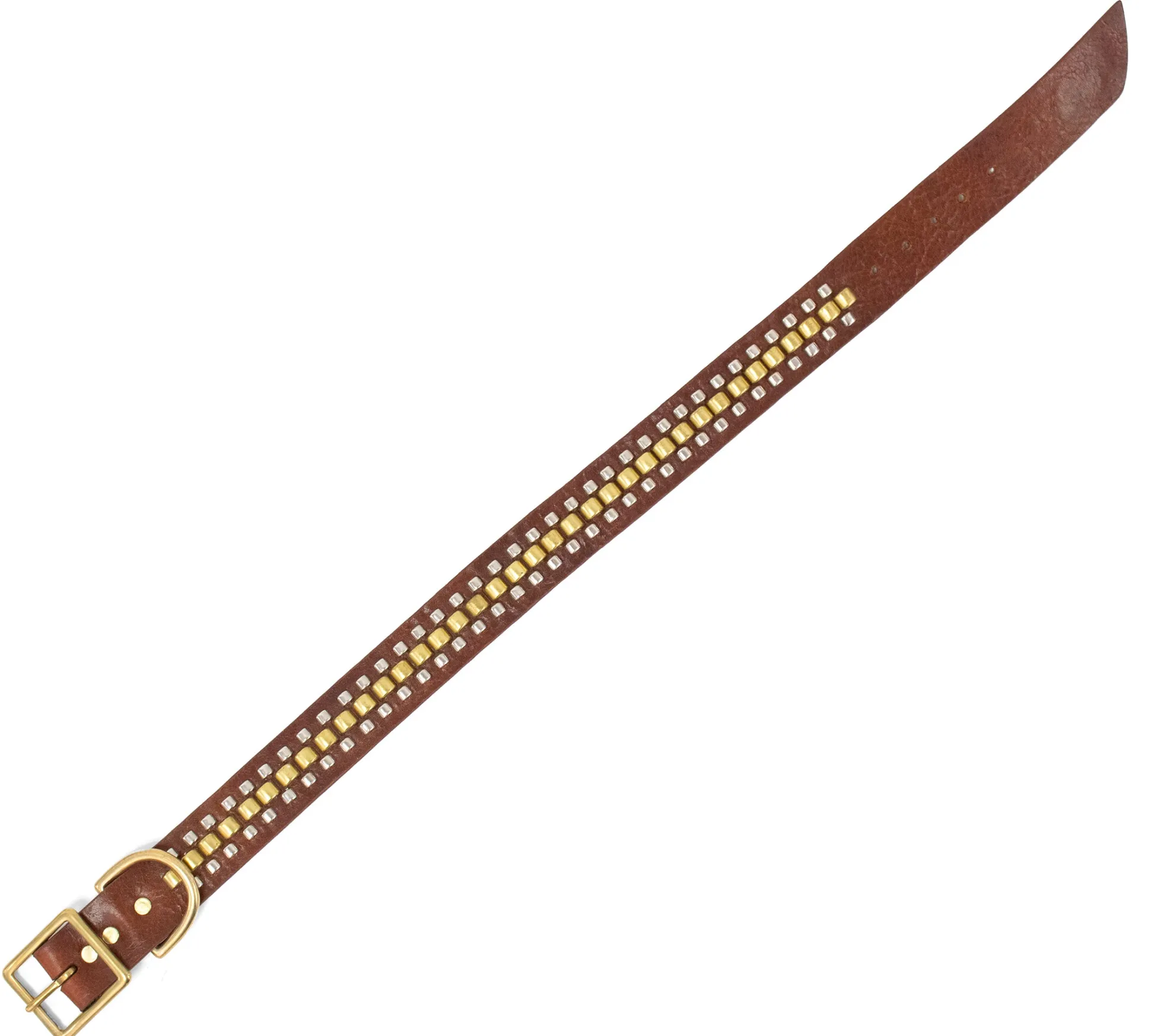 rolex__dog_collars_7-1.webp Calleen Cordero Rolex 19" Dog Collars | 19” Dog Collar