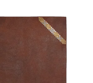 Calleen Cordero Snake Desk Blotter (15" X 22") | Desk Accessories | Desk Mats